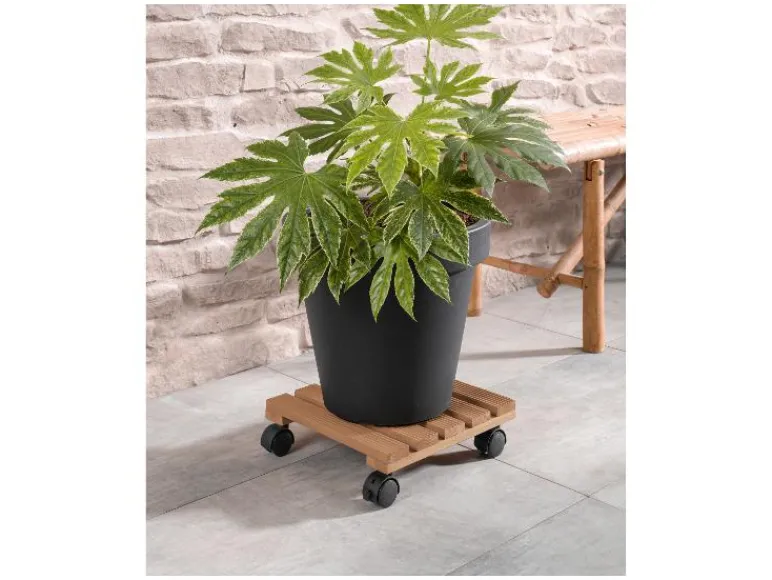 Plantentrolley<PARKSIDE® Online