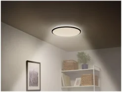 RGB plafondlamp met afstandsbediening<LIVARNO home Hot