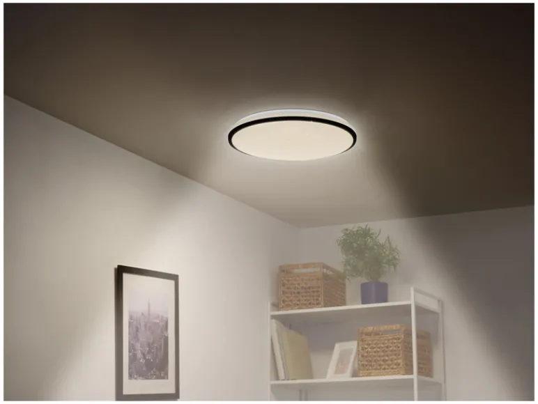 RGB plafondlamp met afstandsbediening<LIVARNO home Hot