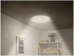RGB plafondlamp met afstandsbediening<LIVARNO home Hot