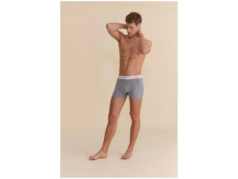 Set van 2 heren boxers<Strenesse Blue Online