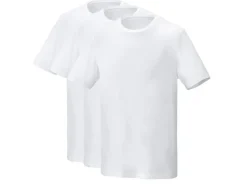 Set van 3 heren T-shirts<PARKSIDE® Outlet