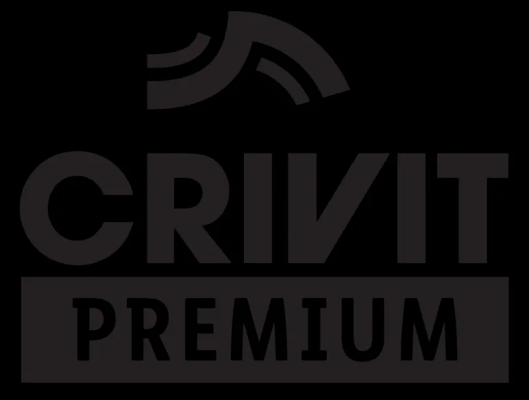 Skihelm met meekleurende skibril Premium<CRIVIT Discount
