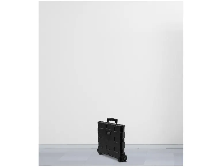 Trolley met krat<W5 Discount