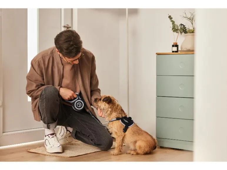 Uittrekbare hondenriem 5 m<zoofari® Hot
