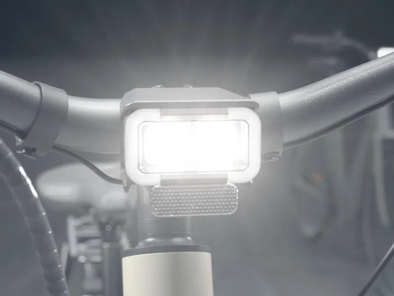 Urban elektrische fiets 3.0 X riemaandrijving<CRIVIT Sale