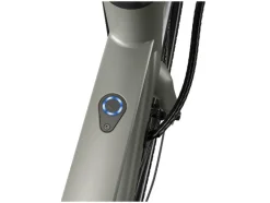 Urban elektrische fiets 3.0 X riemaandrijving<CRIVIT Sale