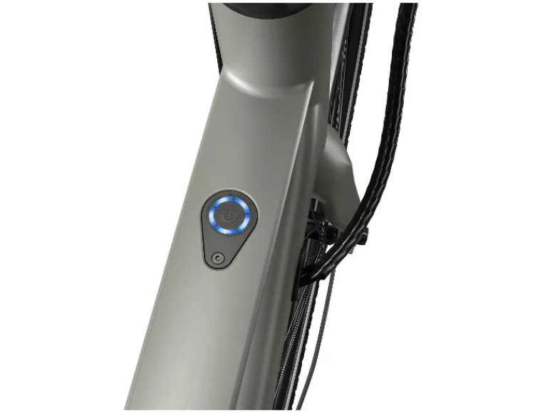 Urban elektrische fiets 3.0 X riemaandrijving<CRIVIT Sale