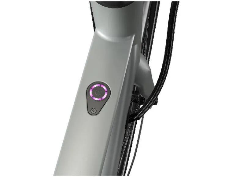 Urban elektrische fiets 3.0 X riemaandrijving<CRIVIT Sale
