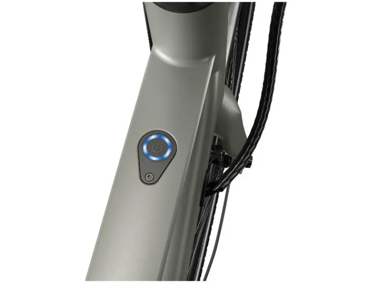Urban elektrische fiets 3.0 X kettingaandrijving<CRIVIT Outlet