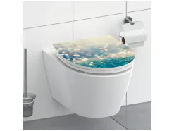 WC-bril<Schütte Clearance