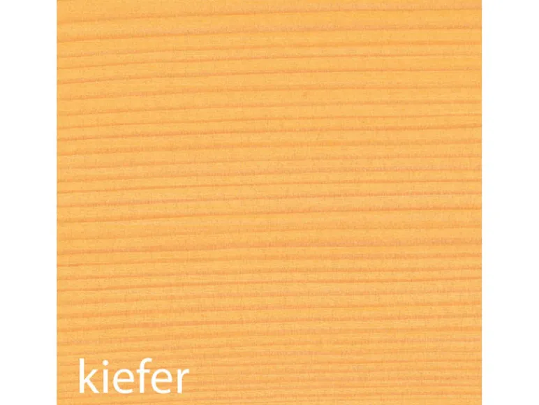 Weerbeschermende houtgel 5 liter<BAUFIX Online